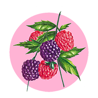 ambientadores-de-frutos-rojos
