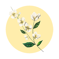 ambientadores-florales